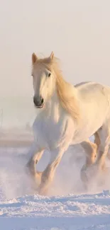 Majestic white horse running through snowy landscape