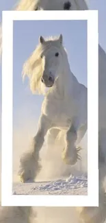 Majestic white horse galloping in the snow, framed by a mobile phone screen.