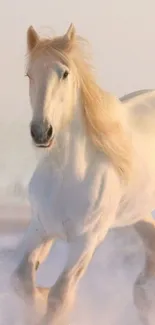 White horse running in snowy landscape.