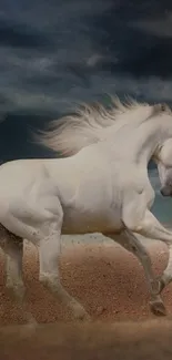 A majestic white horse gallops under a dramatic dark blue sky.