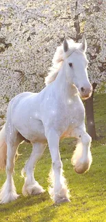 White horse galloping under cherry blossoms in a grassy landscape.