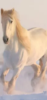 Majestic white horse running in the snow under a soft pastel sky.