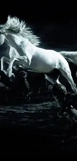 Stunning white horse gallops in dark mystical scene wallpaper.