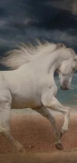 Majestic white horse galloping on sandy terrain.