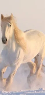 Majestic white horse running across a snowy landscape.