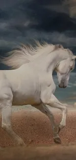 Majestic white horse running with a dramatic sky background.