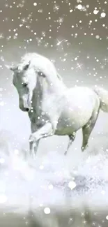 Majestic white horse with sparkling stars on a serene background for mobile wallpaper.