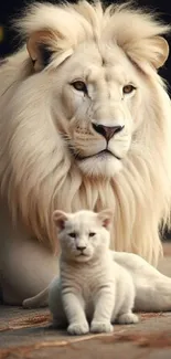 Majestic white lion with its cub, creating an elegant and serene wallpaper.