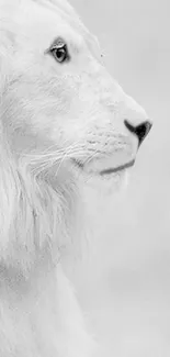 Majestic white lion side profile in minimalist design.