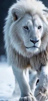 Majestic white lion walking gracefully in snowy landscape.