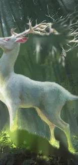 Majestic white stag in a lush green forest.