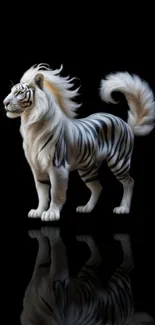 Majestic white tiger on a dark background with a reflective effect.