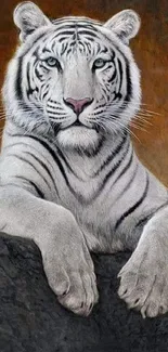 Majestic white tiger art with gray tones.