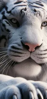 Close-up of a majestic white tiger with striking features, ideal for phone wallpaper.