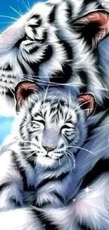 Majestic white tiger and cub, blue sky background.