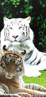 Majestic white and brown tigers lying in a lush jungle setting.