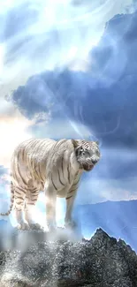 White tiger standing on a rocky peak under a cloudy sky.