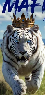 White tiger with crown in meadow.