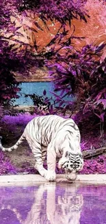 White tiger reflecting in purple forest scenery.