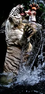 White tiger leaping through water in a dynamic nature scene.