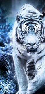 Majestic white tiger walking through a mystical blue forest.