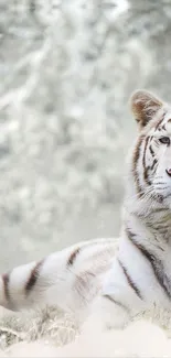 Majestic white tiger lying in serene snow landscape, creating a calming scene.