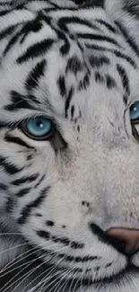 Close-up of a white tiger with striking blue eyes.