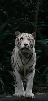 Majestic white tiger standing in a lush green jungle, displaying its natural beauty.