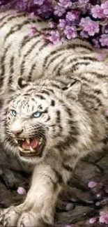 Majestic white tiger with cherry blossoms in a serene landscape wallpaper.