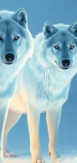 Two majestic white wolves standing in snow with a blue background.
