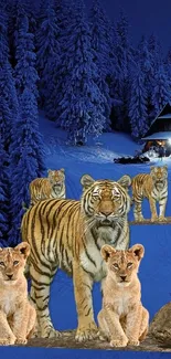 Tigers and cubs in snowy forest at night, creating a serene wilderness wallpaper.