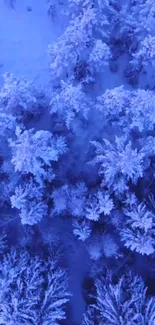 Aerial view of a snow-covered blue forest landscape.