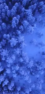 Aerial view of a snow-covered forest in blue tones.