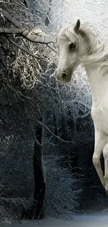 Majestic white horse galloping in a snowy winter forest scene.