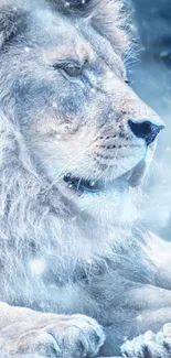 Majestic lion in a serene winter setting, with icy gray tones.