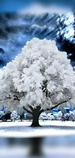 Majestic white tree against winter sky.