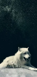 White wolf resting under a starry dark blue sky wallpaper.