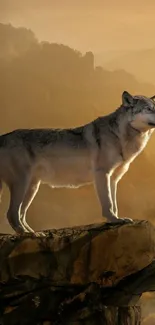 Majestic wolf standing on a rocky cliff with a sunrise in the background.