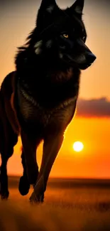 A majestic wolf walks against a colorful sunset backdrop.