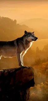 A wolf stands on a cliff with a sunset background, radiating natural beauty.