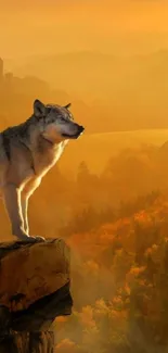 Wolf standing on a cliff at sunset with a scenic golden background.