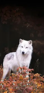 White wolf standing amidst autumn foliage in a forest.