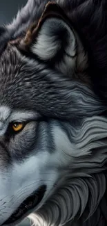 Close-up of a majestic wolf's face in artistic detail.
