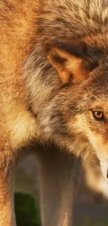 Close-up image of a majestic wolf with detailed fur and piercing eyes.