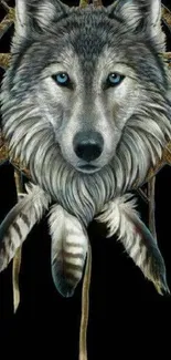 Majestic wolf dreamcatcher with feathers on dark background.