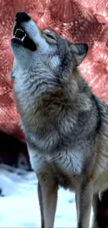 Wolf howling at the moon with a snowy backdrop.