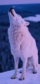 White wolf howling on a snowy ridge under a purple night sky.