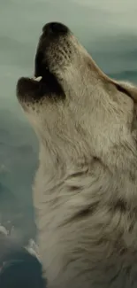 A majestic wolf howling with a cloudy, teal sky background.