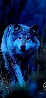 Majestic wolf illuminated in blue, roaming a mystical forest.