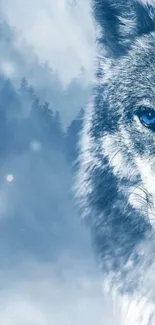 Majestic wolf wallpaper with blue forest backdrop.